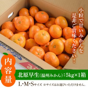 【11月中旬頃発送開始】JAさつま日置産 北原早生（温州みかん） 合計約5kg 厳しい基準をクリアした 甘い みかん をご自宅で！【A-1766H】