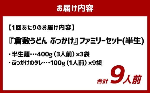 【12ヶ月定期便】『倉敷うどん ぶっかけ』ファミリーセット(半生) 9人前×12回 うどん 麺類 麺 半生 半生麺 ぶっかけうどん タレ つゆ 岡山県 倉敷市