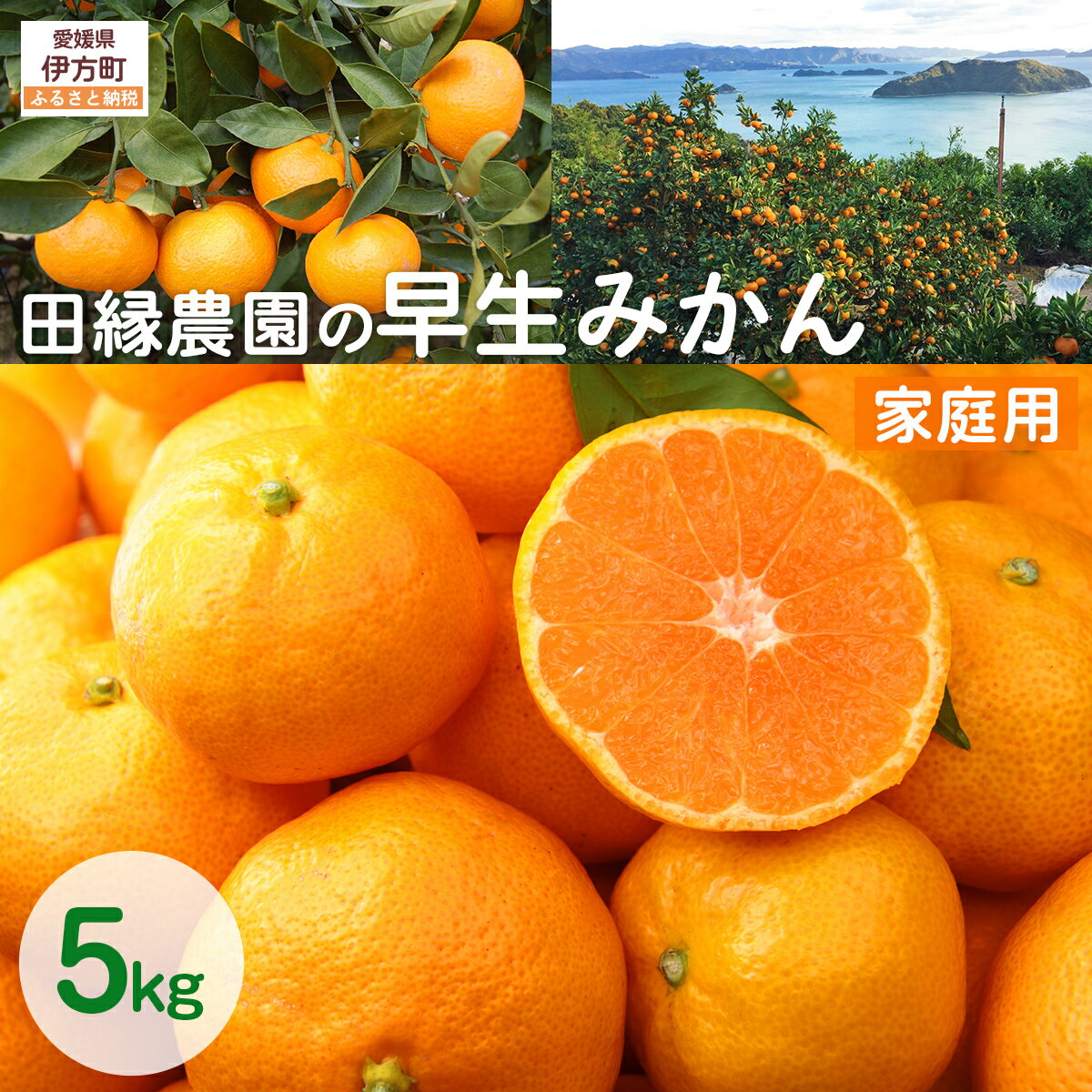 【ふるさと納税】【先行予約】【家庭用】早生みかん 5kg ※離島への配送不可 （2025年11月10日より順次発送） 【ふるさと納税 人気 おすすめ ランキング みかん ミカン 蜜柑 早生みかん 早生ミカン フルーツ 果物 愛媛県産 田縁農園 愛媛県 伊方町 送料無料】 IKTA040