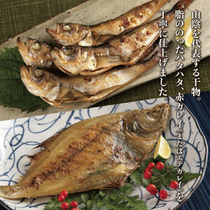 山陰のおすすめ干物セット【中村商店】