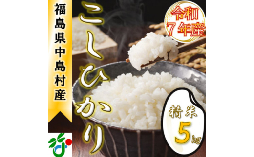 ＜数量限定/令和7年産＞中島村産『コシヒカリ』(精米)5kg【1633130】