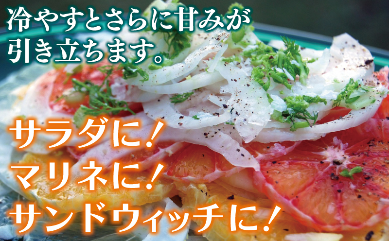 超極早生！泉州プレミアムたまねぎ 3kg 玉ねぎ G1445_イメージ3