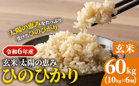 【令和6年産】玄米 岡山県産 ひのひかり 笠岡産 60kg(10kg×6回)《10月下旬-9月下旬頃出荷》農事組合法人奥山営農組合 太陽の恵み