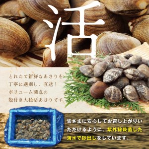 北海道 野付産 大粒 天然 活あさり 2kg（UY0000003） （ 北海道 別海町 野付 あさり アサリ 貝  天然 活あさり 人気 ふるさと納税 ）