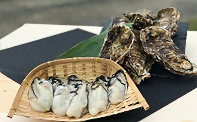 漁師直送北海道 オホーツク サロマ湖産 牡蠣 むき身 食べ比べ 1kgセット かき カキ 国産 生牡蠣