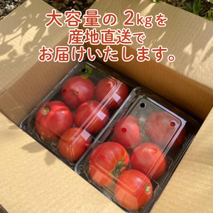 トマト 大玉 訳あり 2kg 野菜トマト トマト  IM002-NT-x