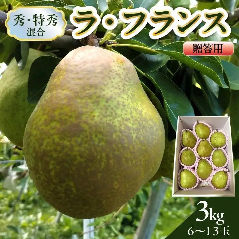 西洋梨（ラフランス）３ｋｇ　贈答用　0142-2610