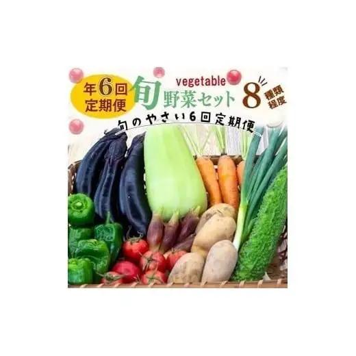 【 野菜定期便 】 旬の野菜セット 野菜定期便 6回 8品程度 セット