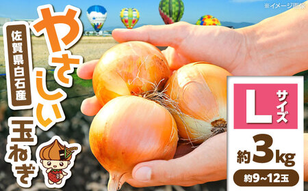 玉ねぎ 約3kg Lサイズ 玉ねぎ IDQ002