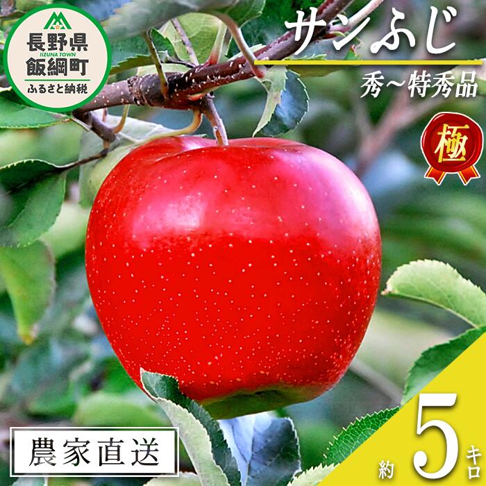 【ふるさと納税】 りんご 極み サンふじ 5kg こだわりの土作り 松澤農園 令和7年度収穫分 長野県 飯綱町 〔 信州 フルーツ 果物 リンゴ 林檎 長野 25000円 予約 農家直送 〕発送時期：2025年11月下旬〜2026年1月下旬 {***}