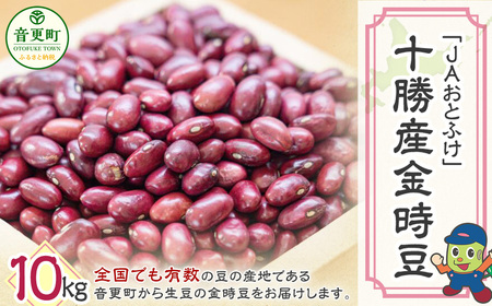 【令和7年産】 金時豆10kg「JAおとふけ」【D43】 
