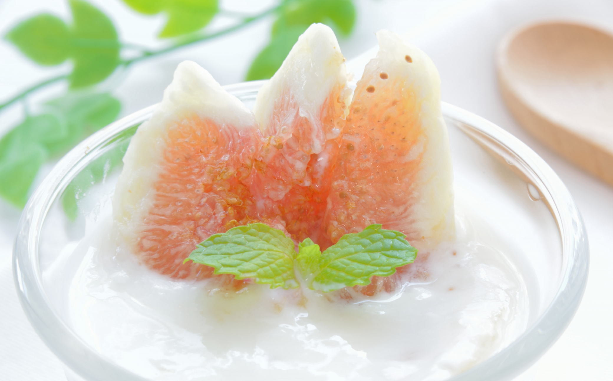 ［ハウス栽培］和歌山県産 樹上完熟 いちじく 12玉入り ★2025年8月より順次発送 ［TM207］