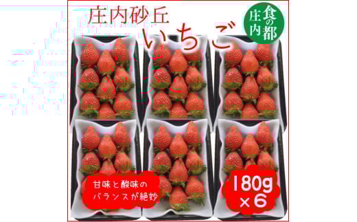 食の都庄内　庄内砂丘のいちご6パック（2L～L）やや小粒も含む※令和8年1月中旬頃より順次配送