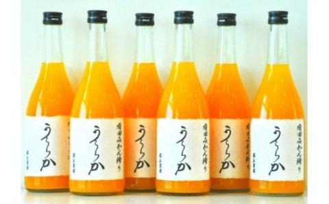 有田みかん搾り「うららか」6本セット(A292-1)