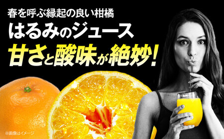 【先行予約】【2025年4月上旬から順次発送】はるみジュース　2本　愛媛県大洲市/ORANGE LINE 果物 みかんジュース デザート 果汁100％ ストレートジュース オレンジジュース[AGCT0
