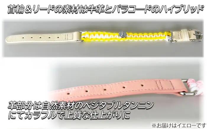 ペット 犬の首輪＆リードセット イエロー S ペット BLBX009
