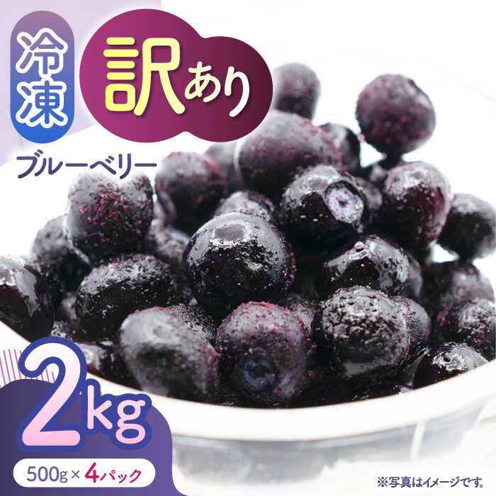【ふるさと納税】【訳あり】 冷凍ブルーベリー 小粒 約2kg（約500g×4pc） 【すみれファーム】[ZEP047]