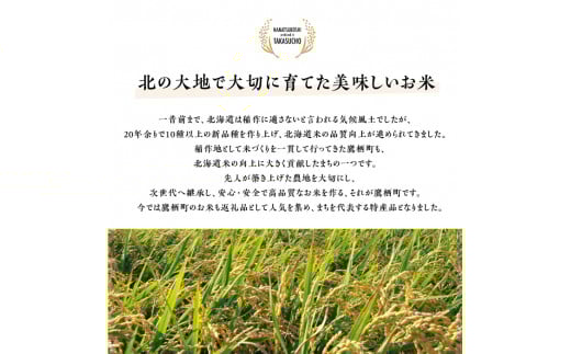 A010 【 令和６年産 】 ななつぼし （ 白米 ） 5kg×2袋 北海道 鷹栖町 米 コメ こめ ご飯 白米 お米 ななつぼし コメ 白米