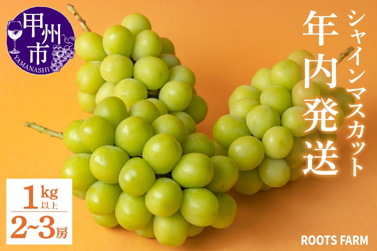 
            低温貯蔵シャインマスカット1kg以上 2～3房【2025年内発送】（RO）C-139 【シャインマスカット 葡萄 ぶどう ブドウ 令和7年発送 期間限定 山梨県産 甲州市 フルーツ 果物】
          