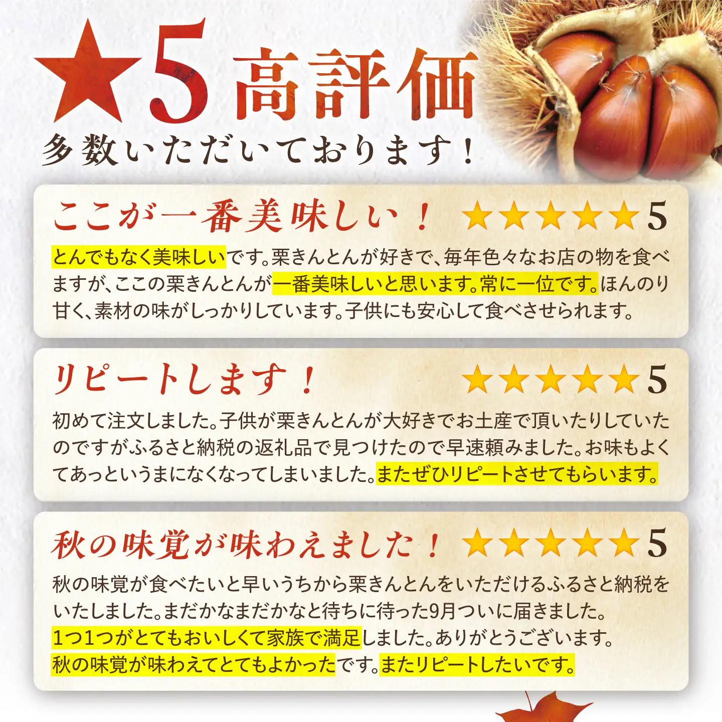 【先行予約】【着日指定可】 恵那寿やの栗きんとん 10個入 / 恵那市 / 恵那寿や [AUAS009]