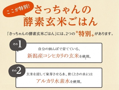 さっちゃんの酵素玄米ごはん「レトルトタイプ」125g×28パック コシヒカリ ３日間熟成 健康 美容 完全無添加 1F04030