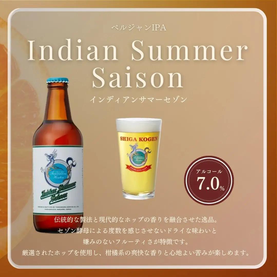 定期便 3ヶ月 クラフトビール 志賀高原ビール 24本 セット 玉村本店 クラフトビール