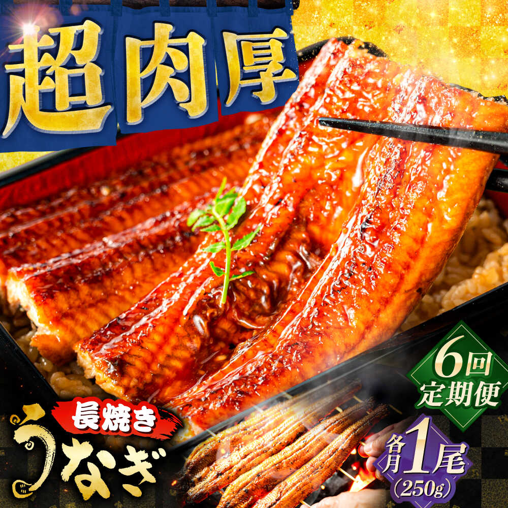 【ふるさと納税】【全6回定期便】 鰻 国産うなぎの長焼き 鰻 たれ 肉厚 うなぎ 国産 長焼き 三河一色産 備長炭 手焼き 職人 炭火焼き うな重 うな丼 蒲焼き 惣菜 おかず スタミナ 夏バテ防止 丑の日 土用丑の日 ギフト 人気 定期便 岐阜市 / 本格炭焼うな吉[ANHH003]