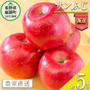 【ふるさと納税】 りんご サンふじ 極選 5kg マルハ農園 沖縄県への配送不可 令和6年度収穫分 エコファーマー認定 長野県 飯綱町 〔 信州 果物 フルーツ リンゴ 林檎 長野 22000円 予約 農家直送 〕発送時期：2024年12月上旬～2024年12月下旬