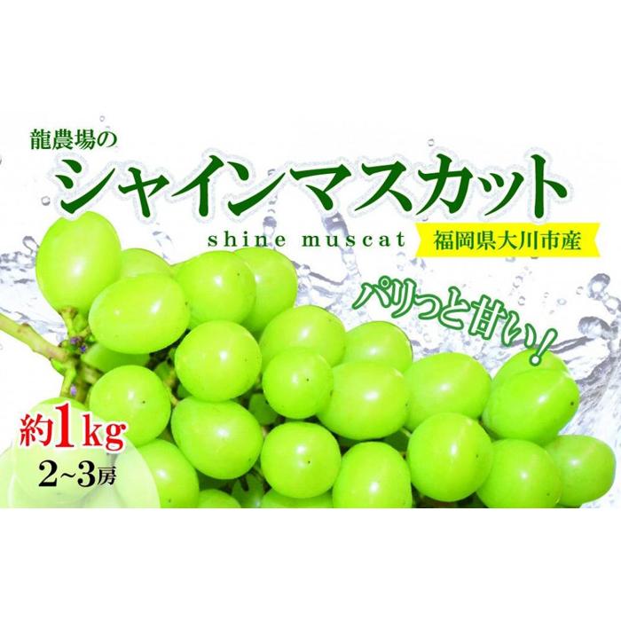 【ふるさと納税】2025年発送 シャインマスカット 約1kg (2～3房) | シャインマスカット フルーツ 果物 くだもの ぶどう 葡萄 マスカット 旬 季節限定 人気 おすすめ 送料無料 福岡県 大川市