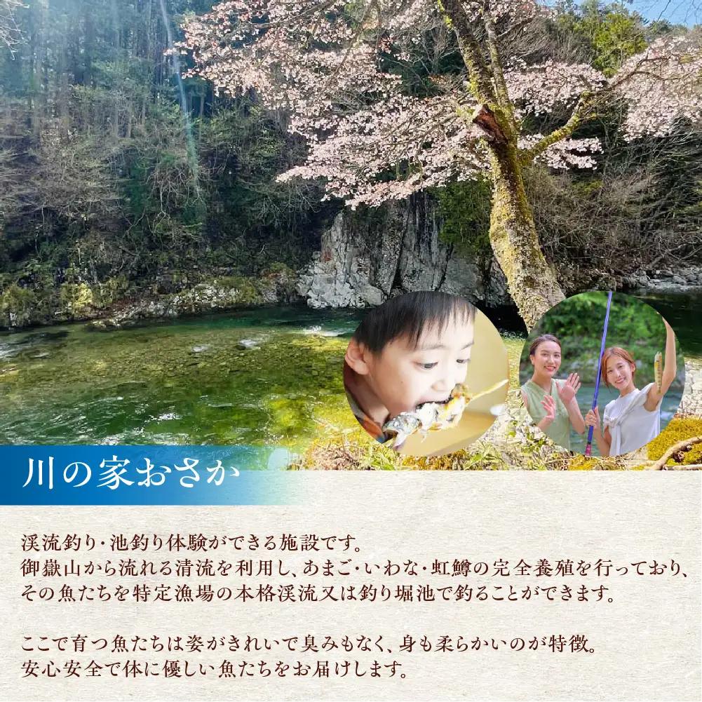 川魚食べ比べセット（5尾入り各1袋）計15尾（あまご・いわな・虹鱒）【真空 冷凍】【鈴小坂】【108-4】