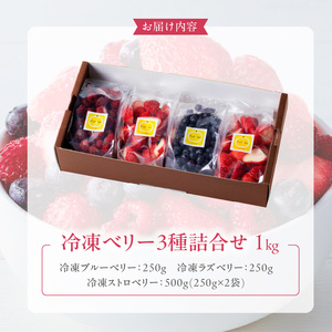 冷凍ベリー3種詰合せ（ストロベリー500g・ラズベリー250g・ブルーベリー250g）_冷凍 ベリー 3種 詰め合わせ ストロベリー 500g ラズベリー ブルーベリー 各250g 新鮮 ジャム お菓