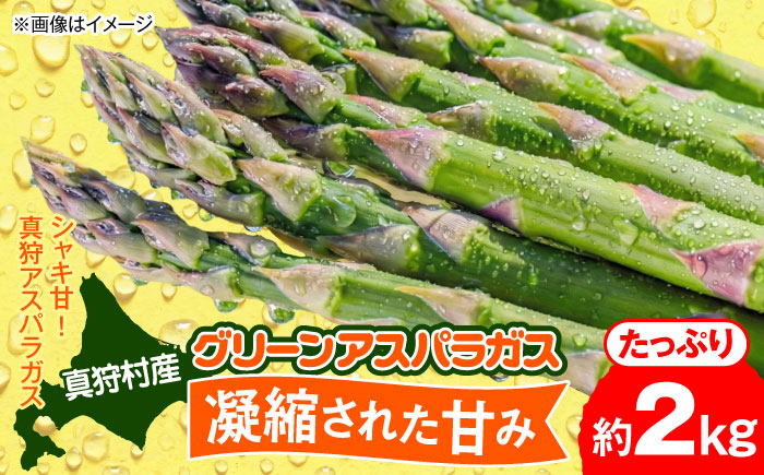 【2026年5月下旬以降順次発送】 グリーンアスパラ 2kg  |  アスパラ アスパラガス 野菜 やさい 北海道 産地直送 |  道の駅 真狩フラワーセンター [BPAM018]
