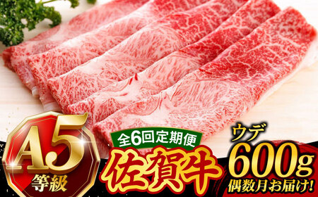 【6回定期便・偶数月にお届け】 佐賀牛 すき焼き しゃぶしゃぶ 600g ウデ 牛肉定期便 UCC017