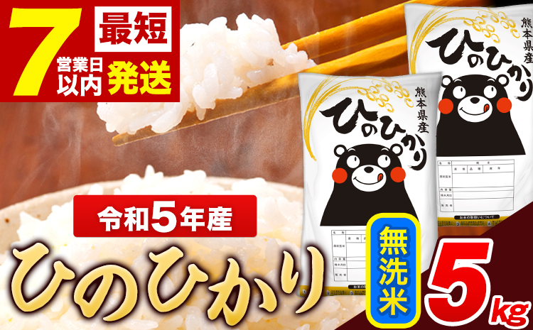 令和6年産 新米 ひのひかり 無洗米 5kg(5kg×1袋)《11月-12月より出荷予定》 熊本県産 米---ng_hn6_af11_24_10000_5kg_m---