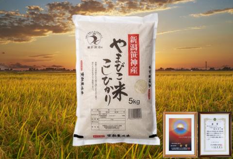 【令和8年産新米予約】【4か月定期便】コシヒカリ「やまびこ米」5kg×4回 10月中旬より順次発送予定 1P08055