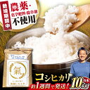 【ふるさと納税】すぐ届く有機栽培 こしひかり 10kg 白米 【令和6年産】　長浜市/七神氣 金子嘉徳 [AQCN002] 米 お米 白米 10kg コシヒカリ こしひかり すぐ すぐ発送 すぐ来る 近江米