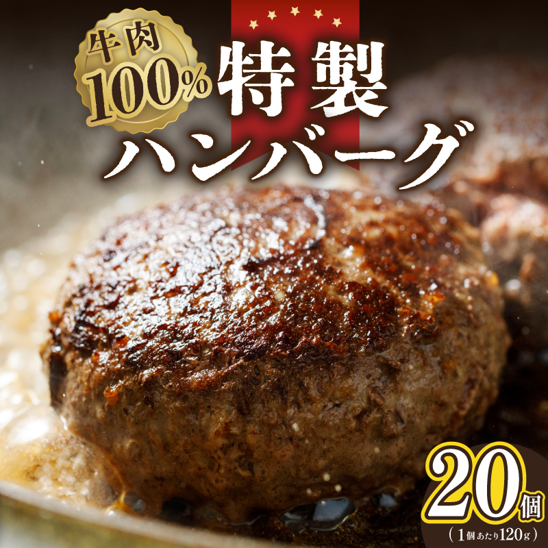 牛肉100％ 特製ハンバーグ 120g×20個 個包装 G1739