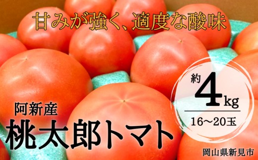 
            阿新産桃太郎トマト 1箱 約4kg 16～20玉 【2026年7～9月限定】
          