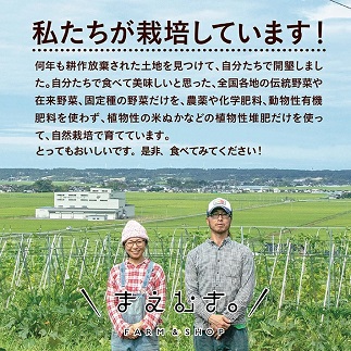 【自然栽培】『まえむき。』の、自然と一緒に育てた旬のおまかせ野菜セット6〜7種類