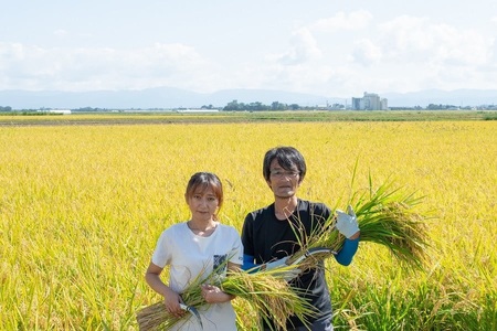 【令和7年産先行予約】殿やの「雪若丸」無洗米 5kg 山形県鶴岡市産　K-745