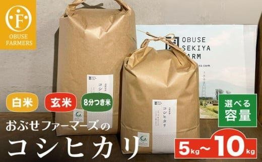 
                  コシヒカリ 白米 玄米 8分つき米  約5kg  約10kg 選べる 精米方法 内容量 ［ おぶせファーマーズ ］ お米 コメ おこめ ご飯 精米 長野県産
                