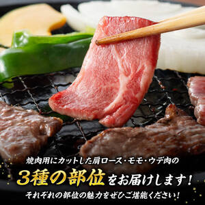 宮崎牛 焼肉 3種 計1.1kg 【 肉 牛 牛肉 国産 黒毛和牛 宮崎牛 BBQ 焼肉 カタロース モモ ウデ 】