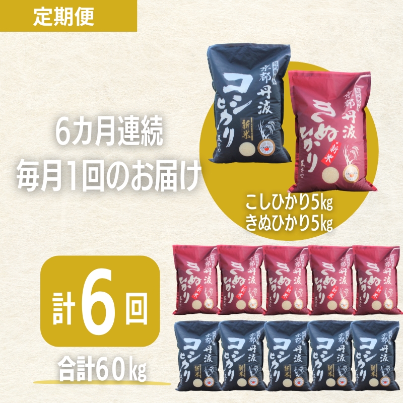 【6カ月定期便】令和6年産 新米 京都丹波産 こしひかり・きぬひかり 食べ比べセット 10kg 合計60kg