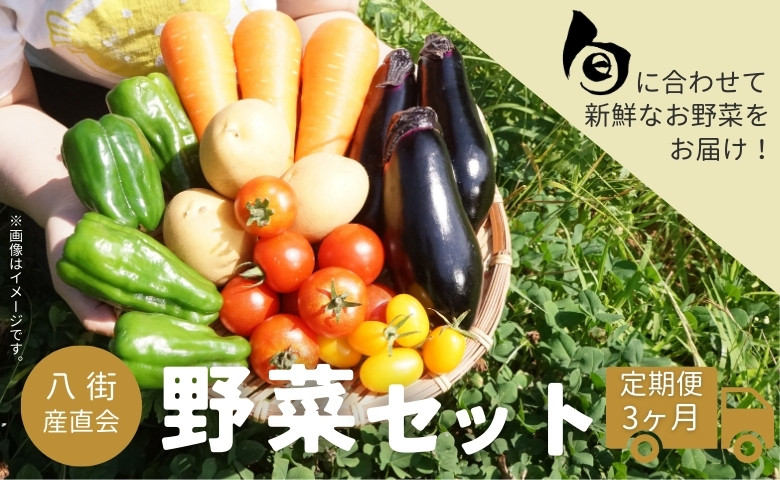 
［旬野菜の定期便3ヶ月］八街産直会 こだわり の 旬 野菜セット 6～7品 野菜 野菜詰め合わせ 八街市 千葉県 産地直送 秋冬野菜 3か月定期便 野菜定期 野菜定期便
