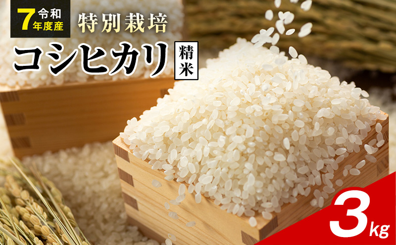 令和7年産 特別栽培米 コシヒカリ 白米 3kg 静岡県産 色彩選別済 食に意識高い方へオススメ