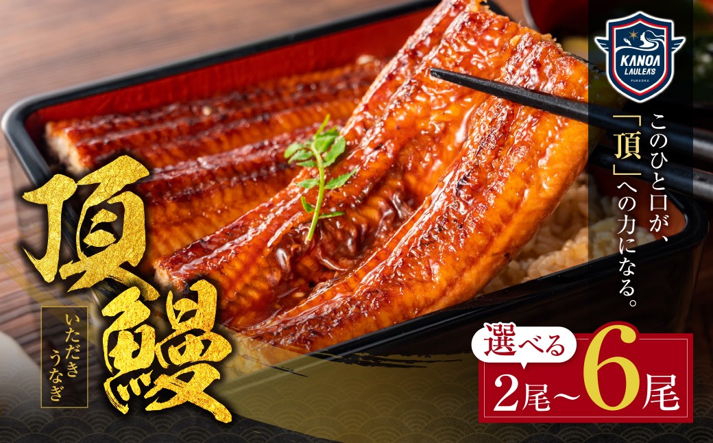 
                  頂鰻 福岡県産うなぎの蒲焼 2尾～6尾セット 国産鰻 うなぎ ウナギ 鰻 人気 おすすめ ひつまぶし 鰻 蒲焼き 冷凍 うな重 ひつまぶし うなぎ 福智町 鰻蒲焼き うな丼 Z36
                