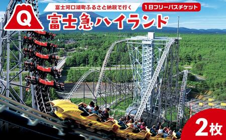 富士急ハイランドワンデイパスペアチケット｜テーマパーク 遊園地 富士急 富士急ハイランド レジャー アウトドア