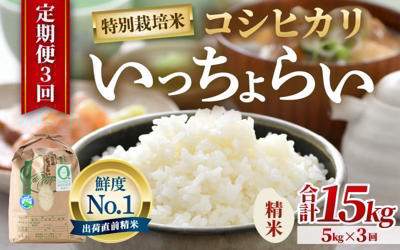 
            【先行予約】【令和7年産・新米】【一等米】《定期便3回》特別栽培米 いっちょらい 精米 5kg × 3回（計15kg）／ 福井県産 ブランド米 コシヒカリ ご飯 白米 新鮮 大賞 受賞 【2025年10月上旬より順次発送予定】 [aw012-d003]
          