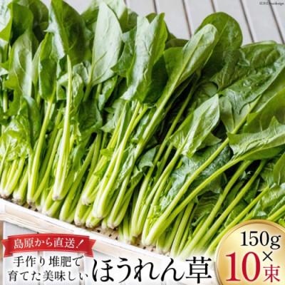 ふるさと納税 島原市 【毎月定期便】産地直送 ほうれん草(10束)全3回