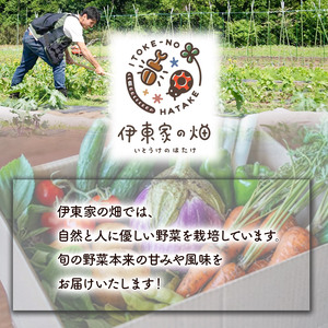 野菜セット(12品種) | 栃木県 下野市